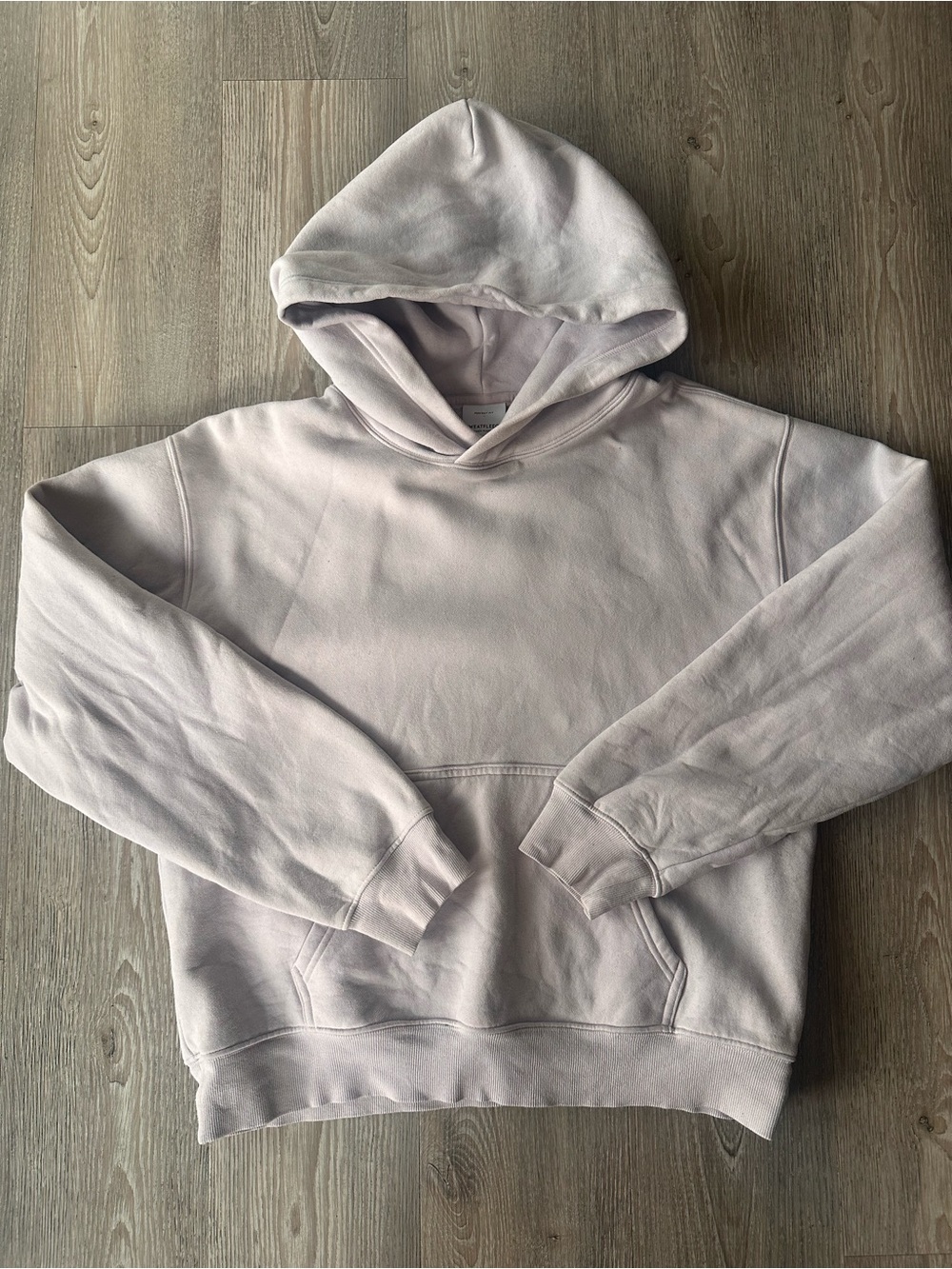 Aritzia Perfect Fit Hoodie - Picture 2 of 3